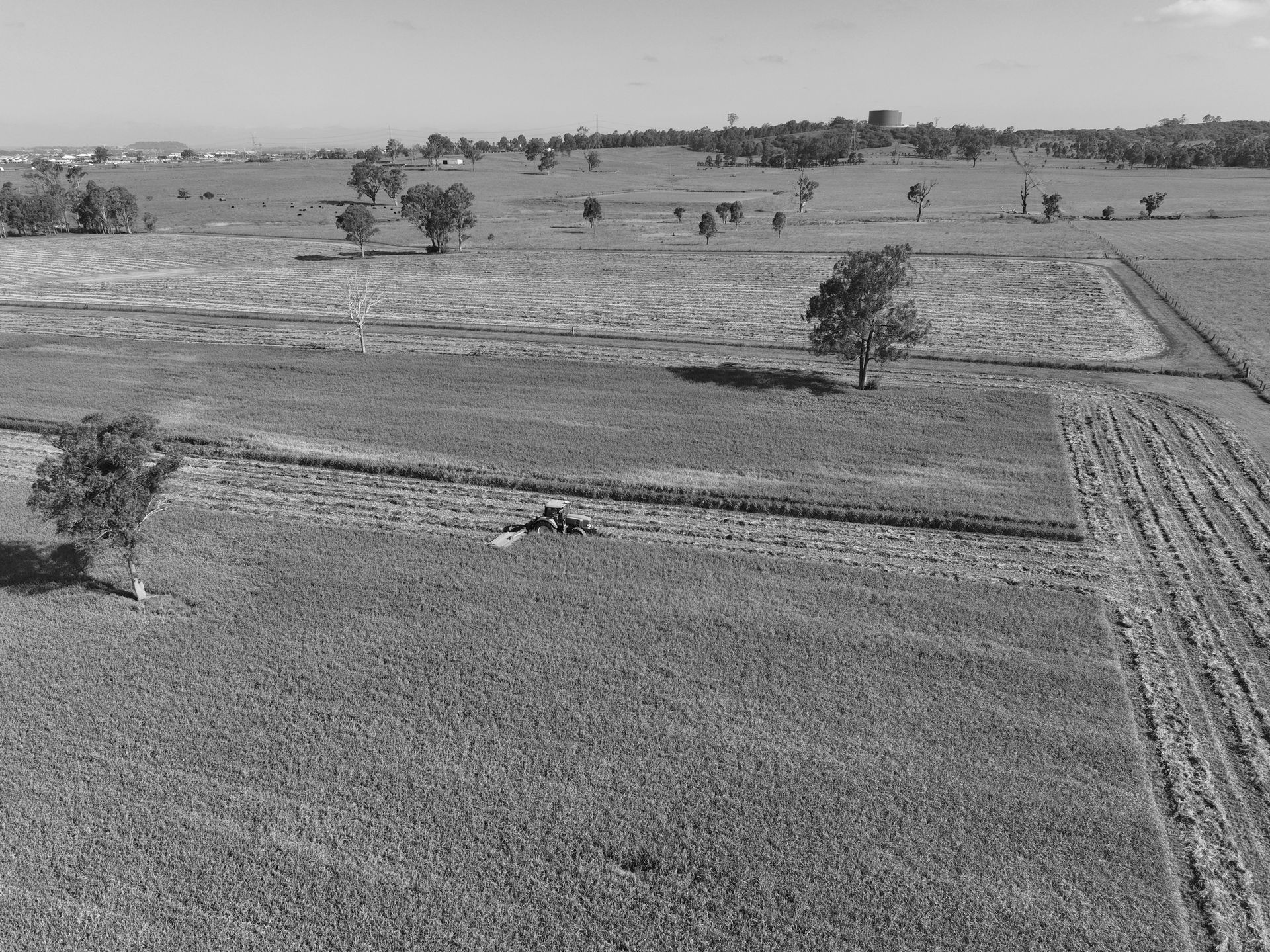 Black and white aerial view of a rural landscape, including fields, trees, and a distant horizon.