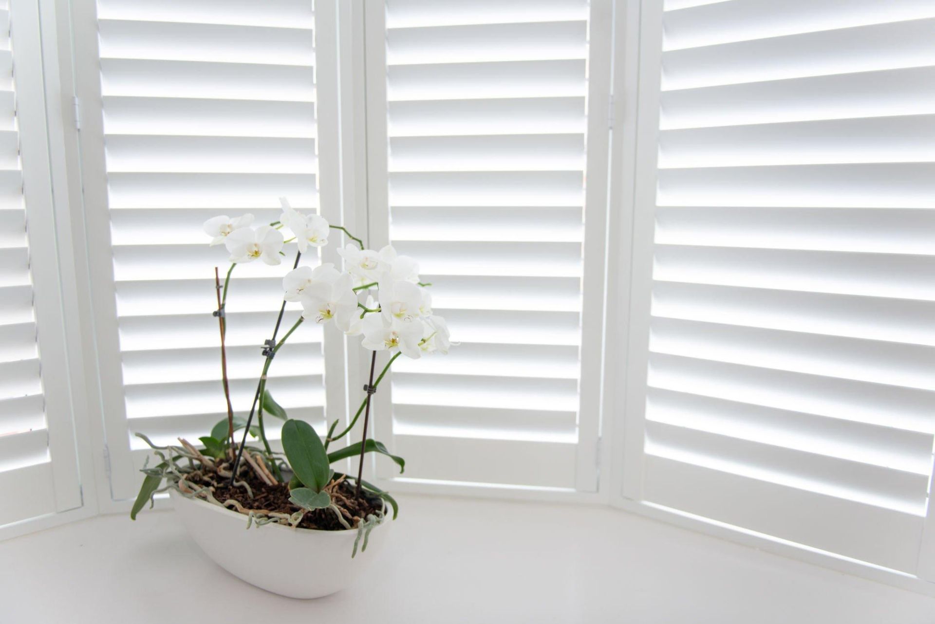 Plantation shutters Gold coast brisbane