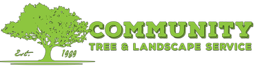 Tree Service In West Palm Beach Fl Community Tree Service