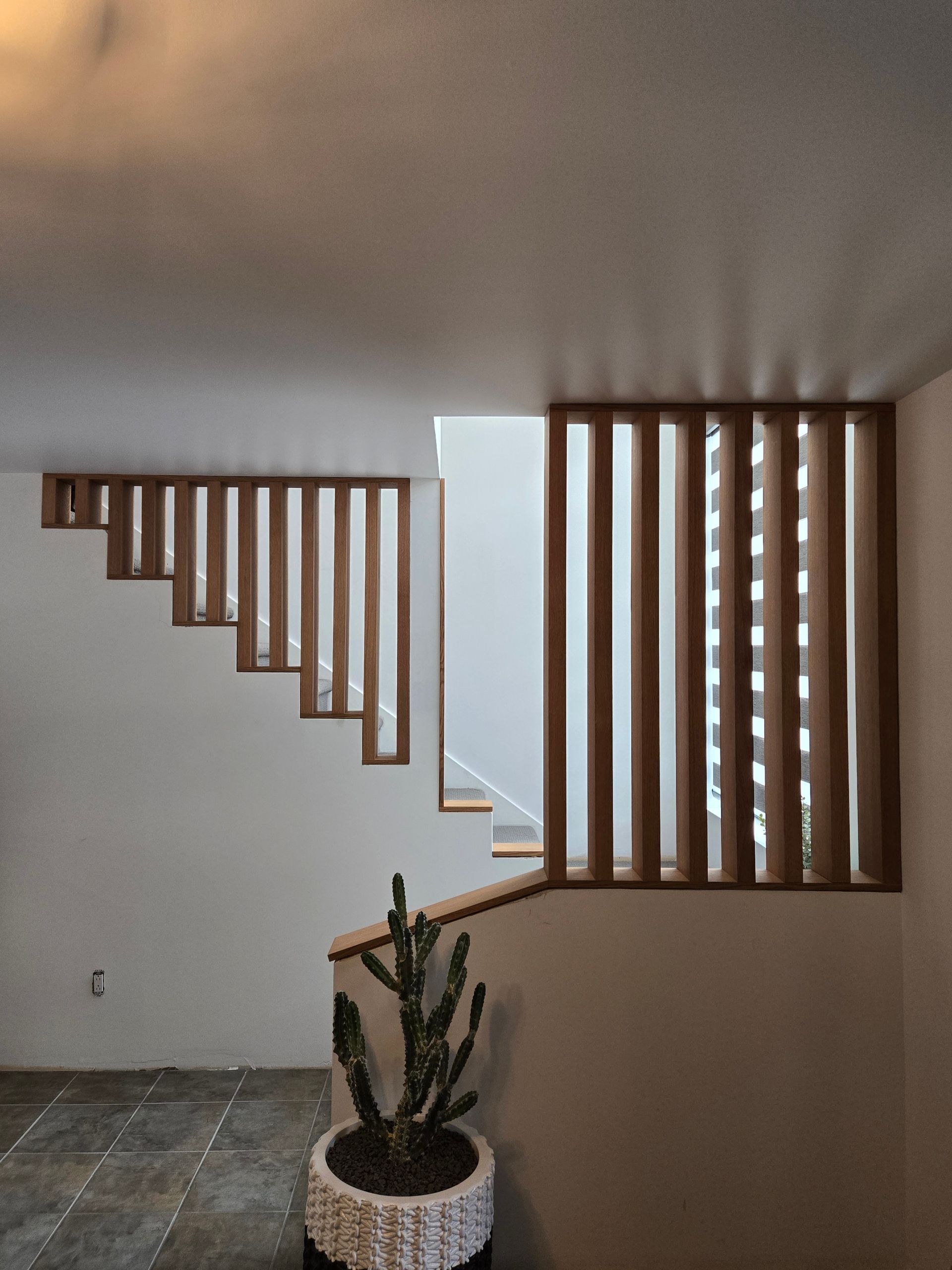 Un escalier avec un cactus dans un pot à côté.