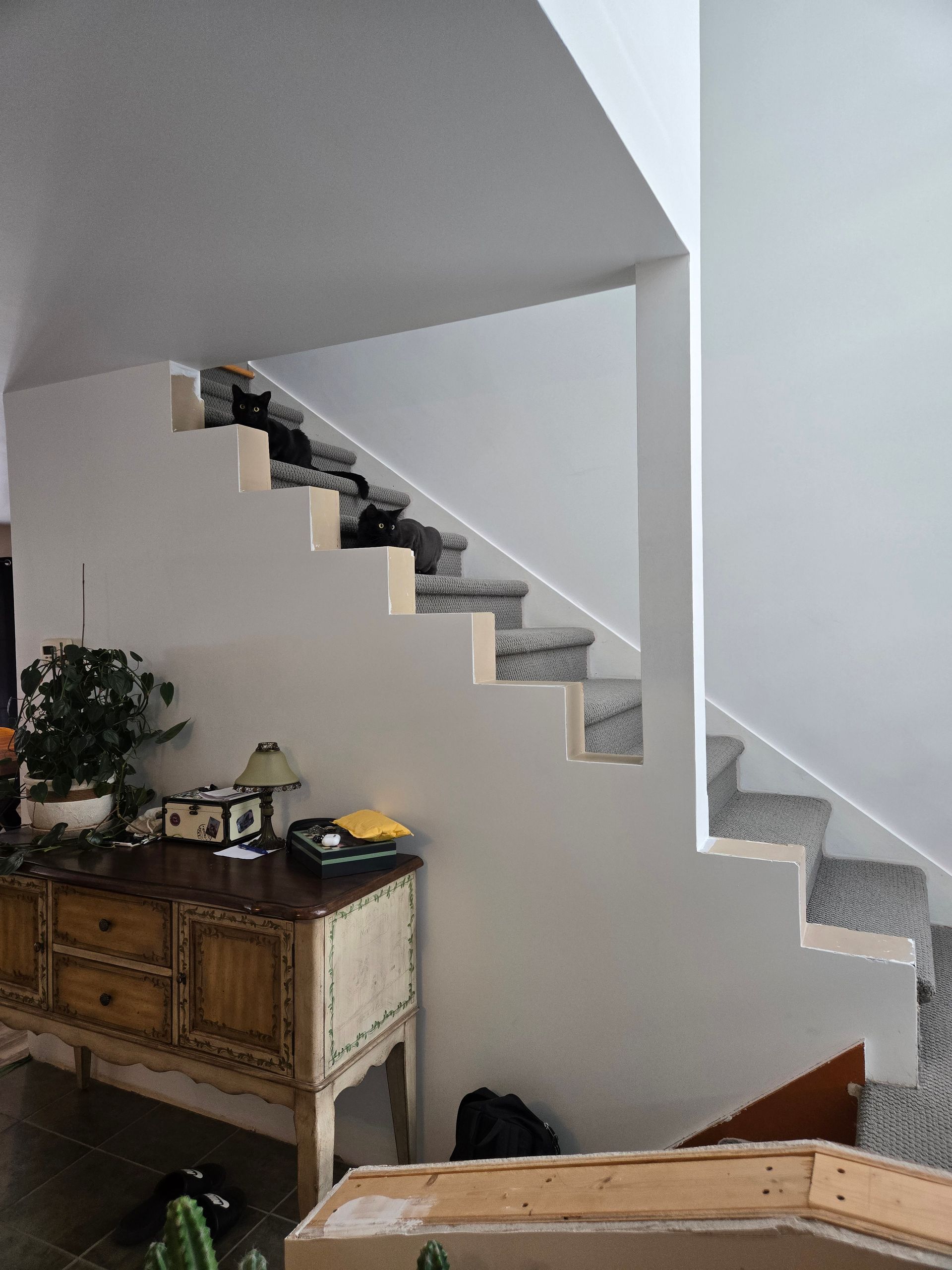 Un escalier dans une pièce avec une commode et une plante