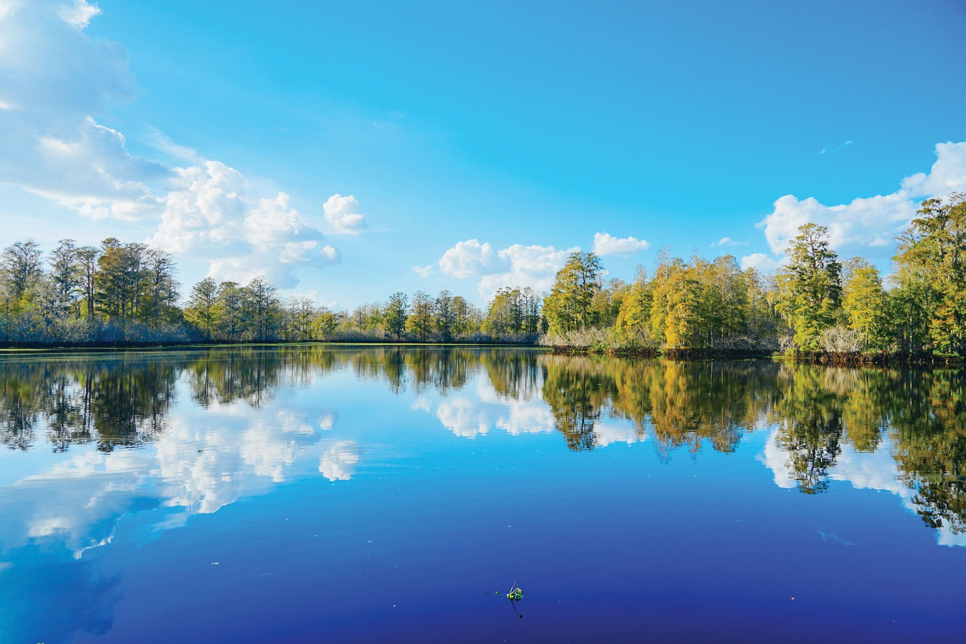 Bright blue sky reflects in calm water, trees line the edge of the water.