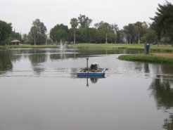 A pond with an aerator in the center