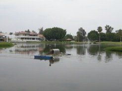 A fountain sprays water