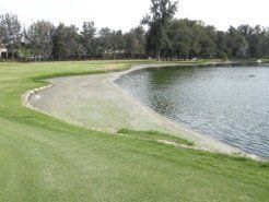 Lush green golf course