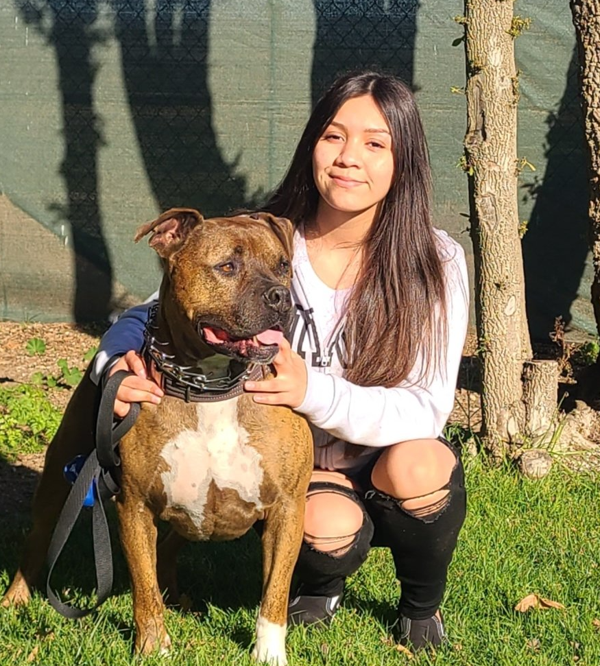 A woman is kneeling down next to a brown and white dog.