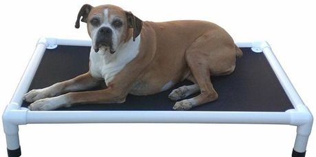 Image of Dog resting on a cot at the Rivers Edge Pet Lodge.