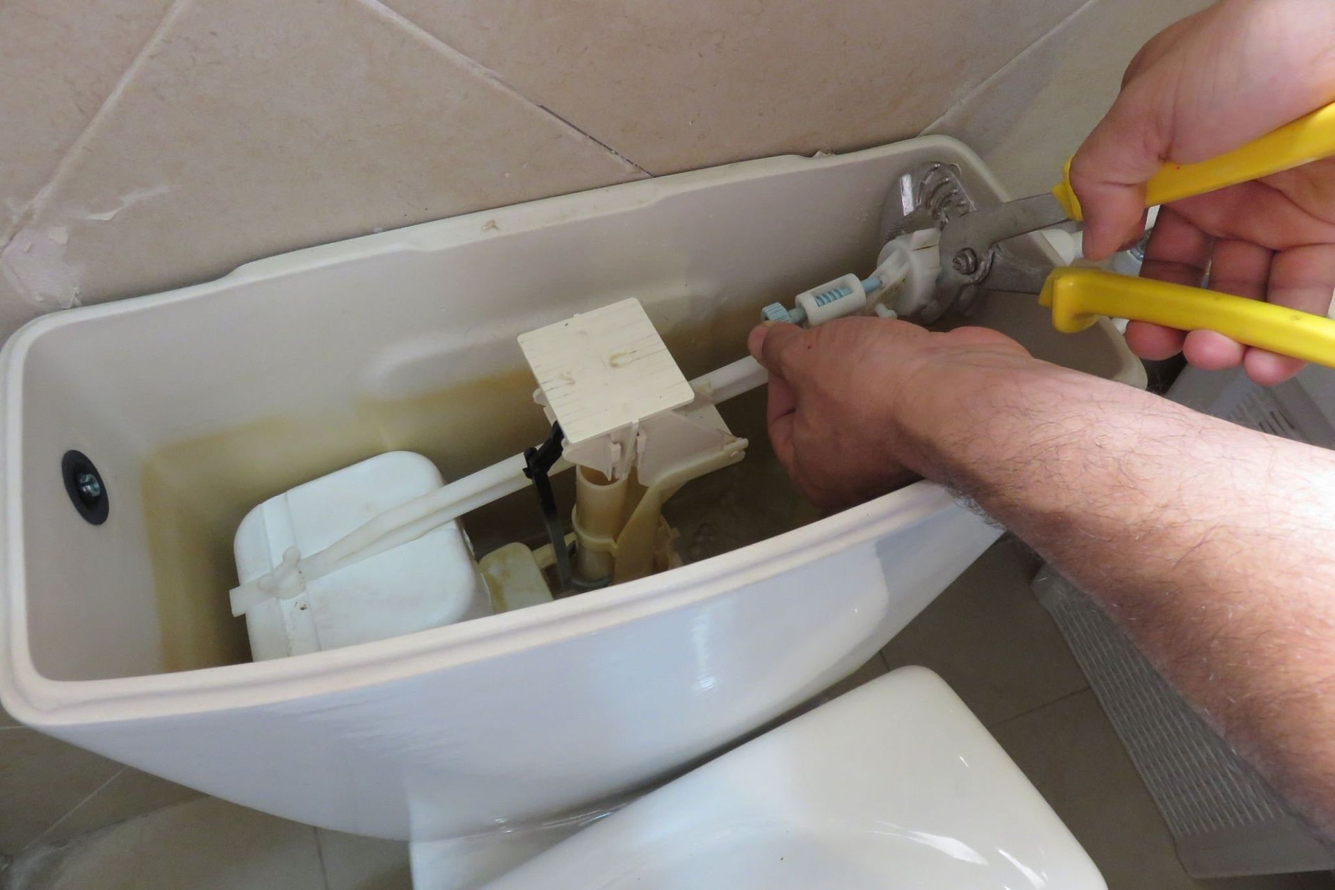 Tier One Plumbing solutions offers Toilet Repair & Installation servicing TN