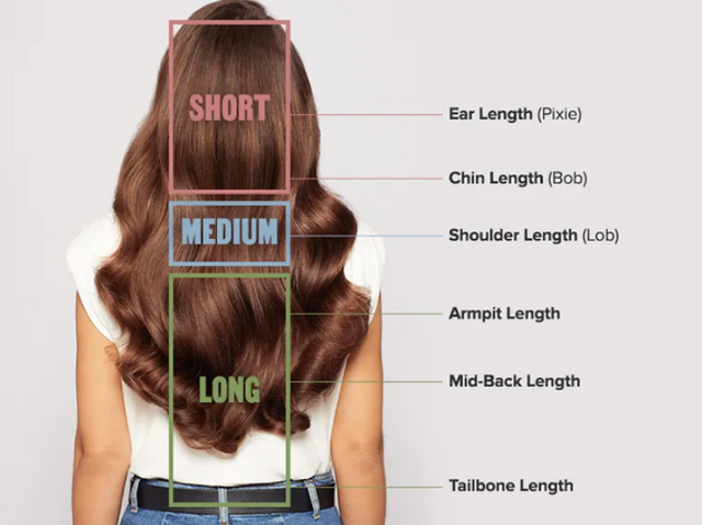 What are the names for the various lengths of hair short to long  Quora