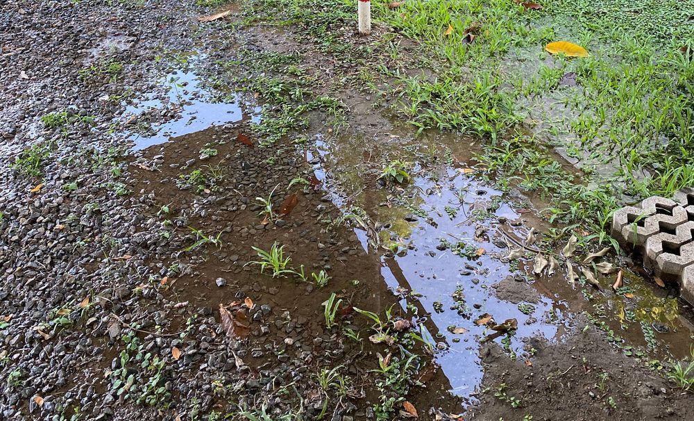 Backyard Flooded by A Burst Pipe — Jobs2BDone in Woy Woy, NSW