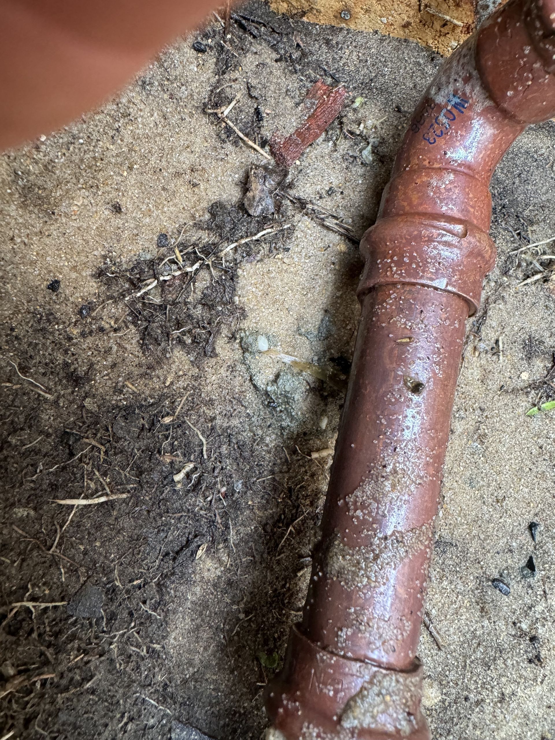 Burst pipe in a backyard — Jobs2BDone in Woy Woy, NSW
