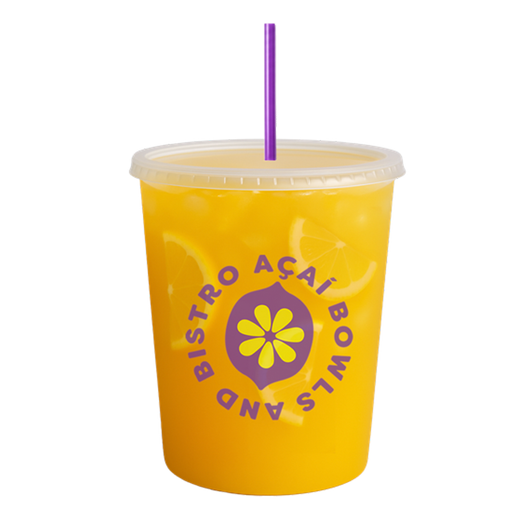 ARTISAN LEMONADES