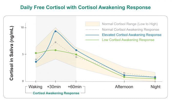 a graph showing the daily free cortisol with cortisol awakening response .