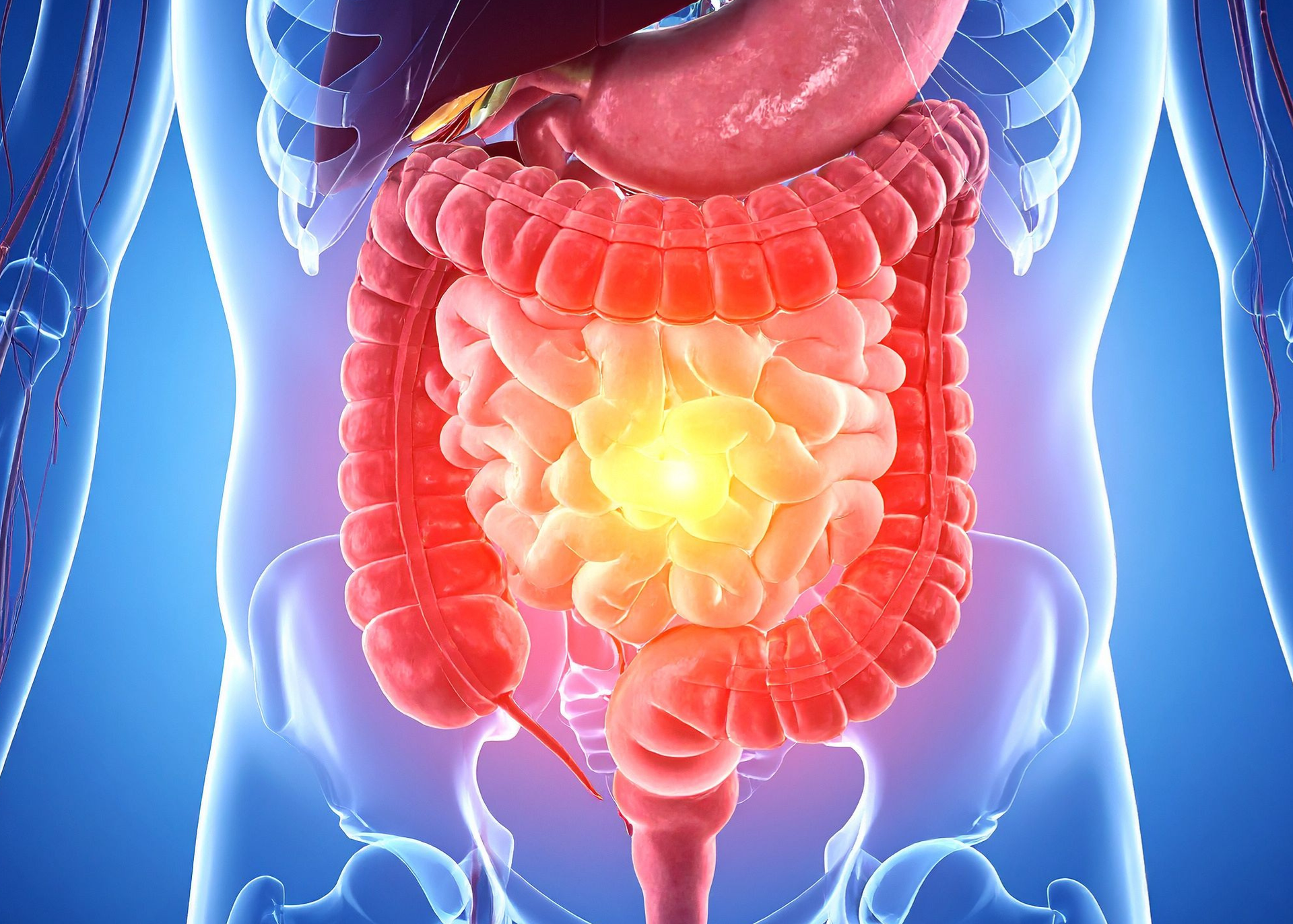 gut health inflammation sperm count