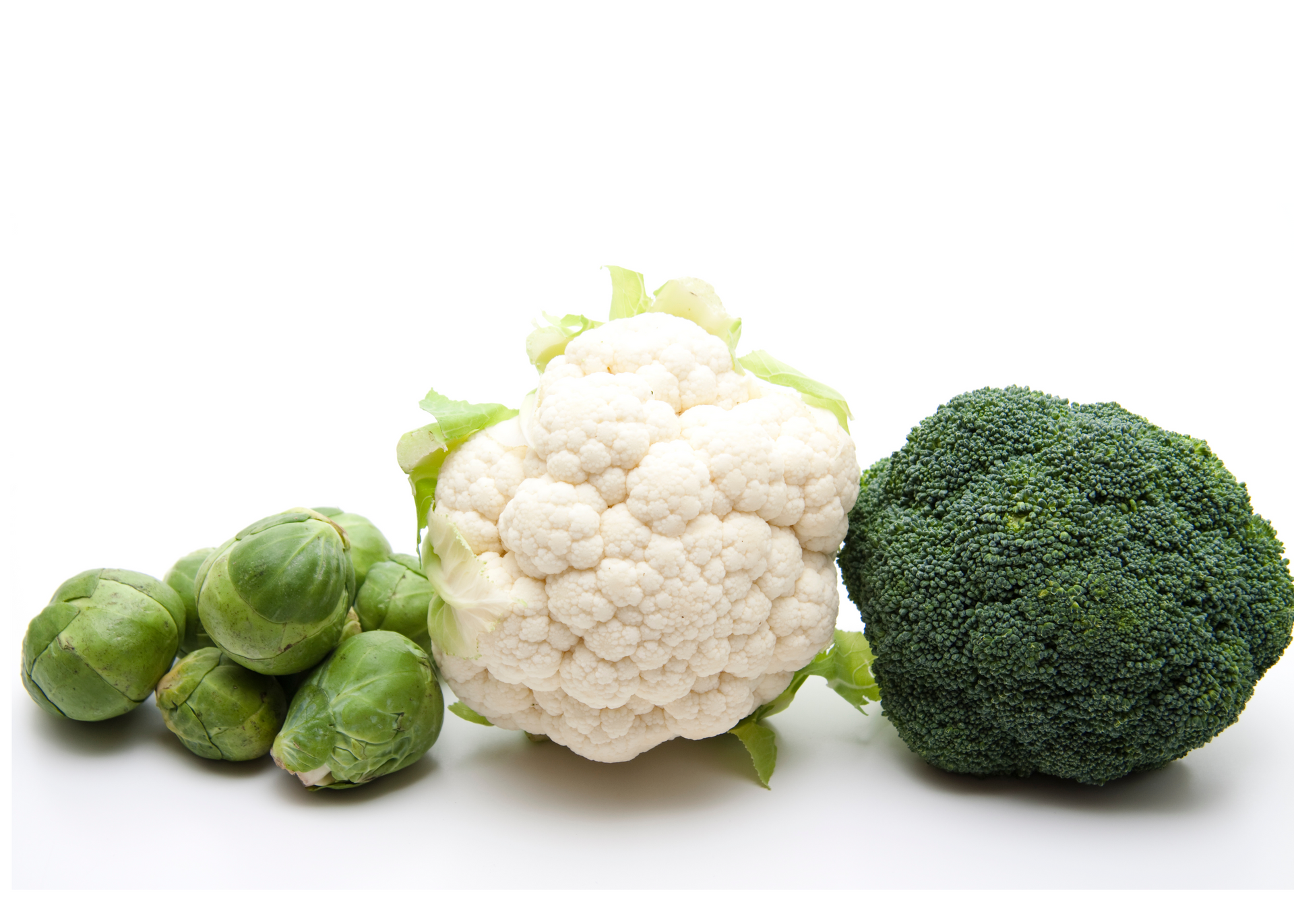 low fodmap diet SIBO