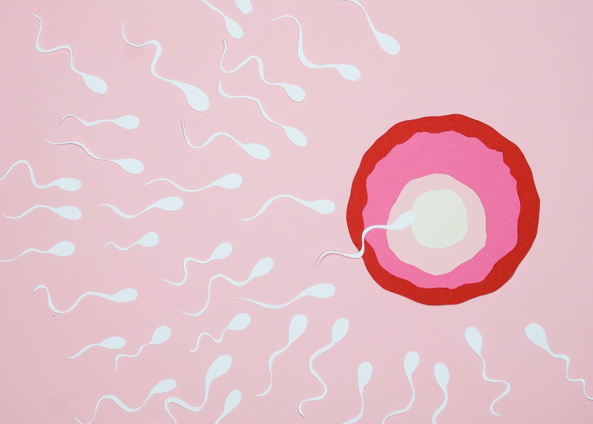 increase sperm count naturally