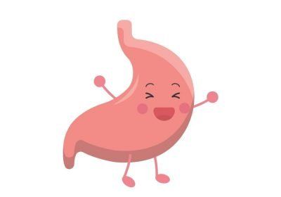 illustration of a happy stomach