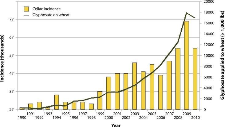 glyphosate celiac disease gluten intolerance