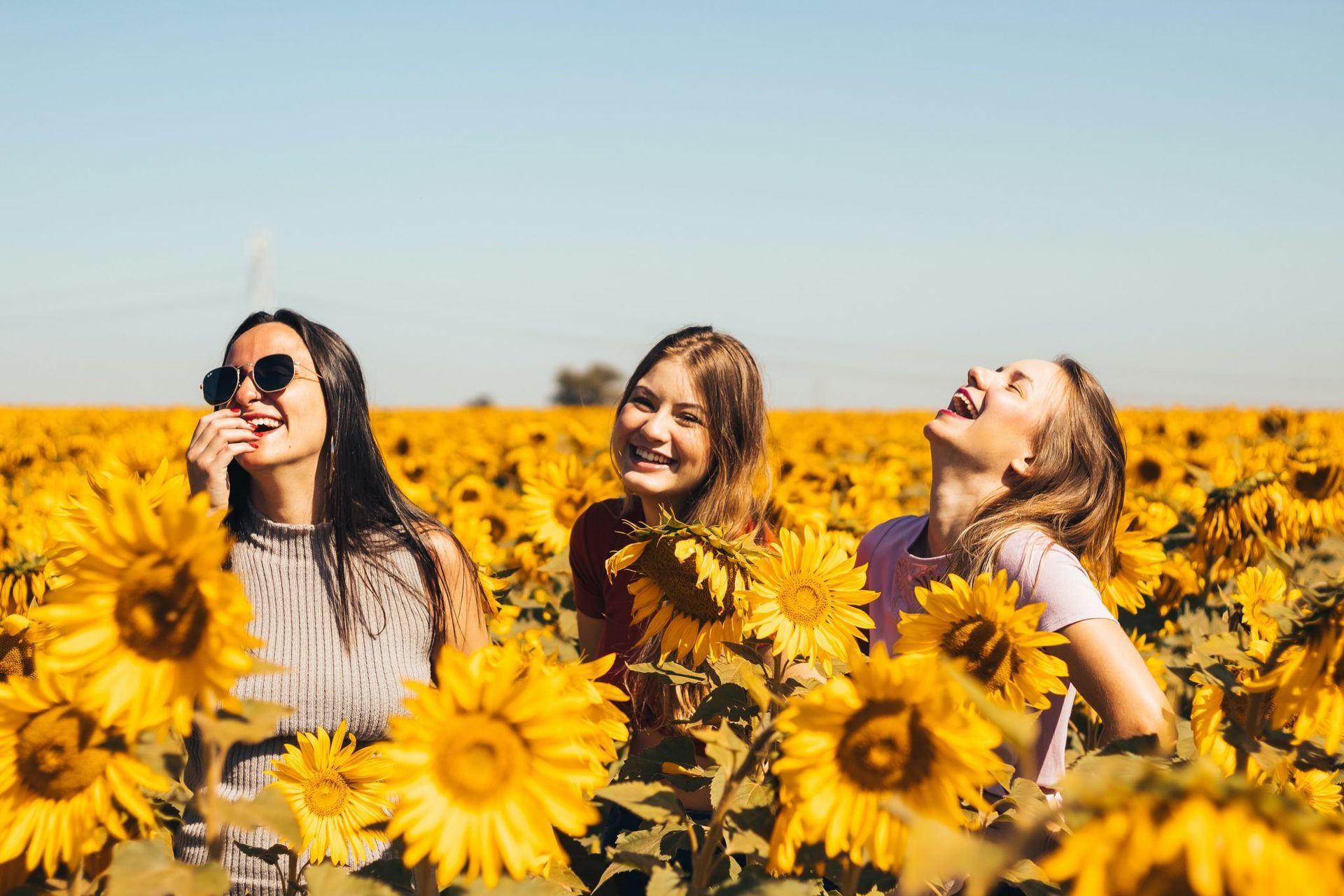 restore program hormone balance