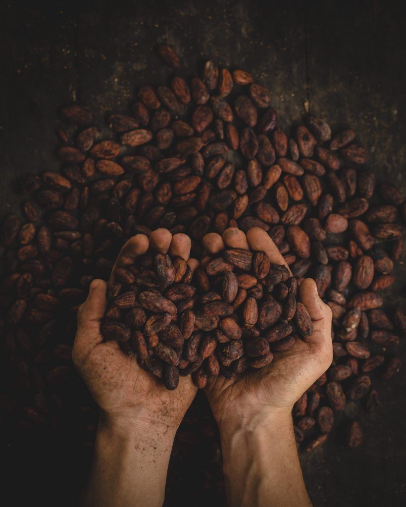 cacao bean health benefits