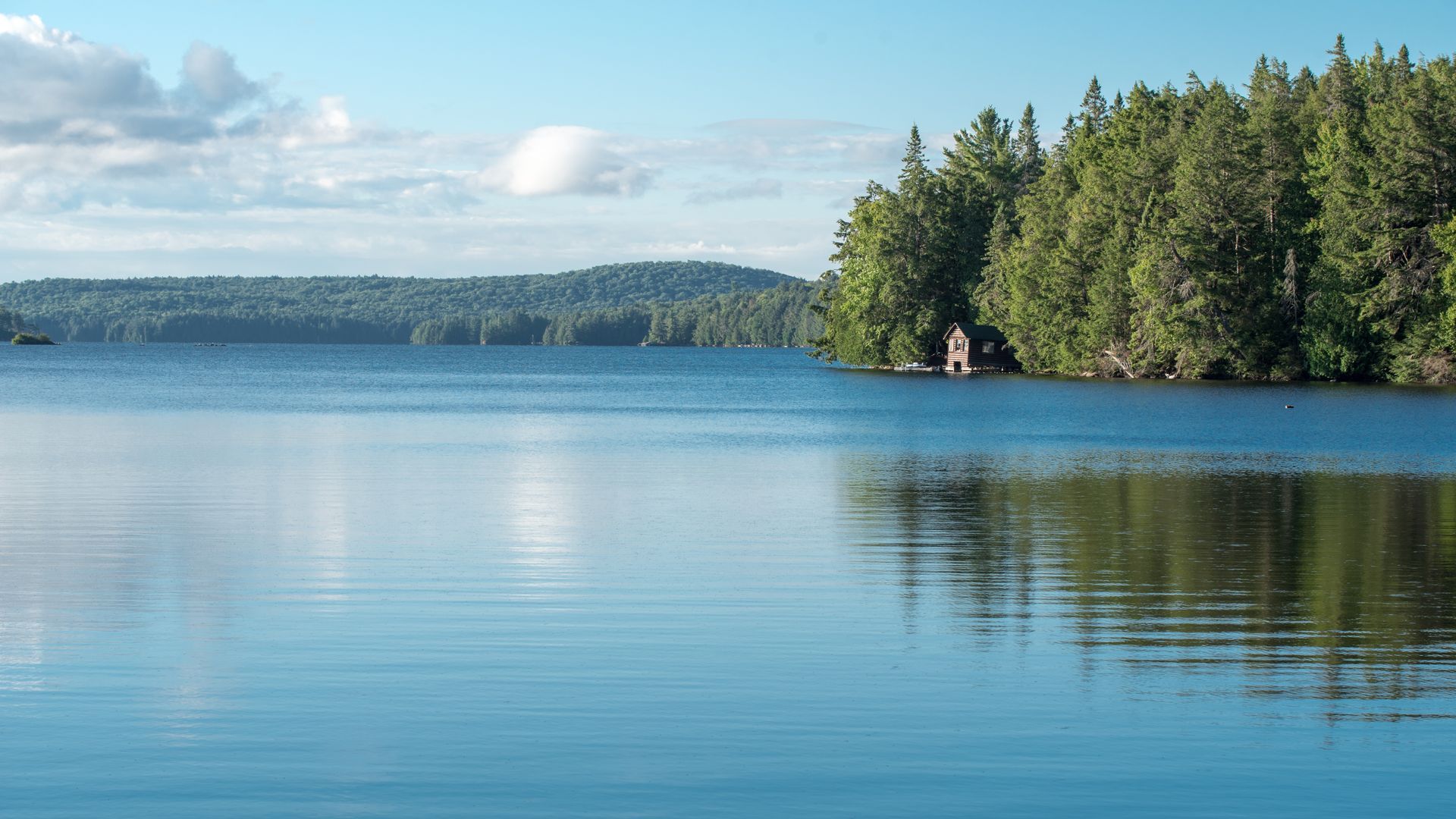 A large body of water surrounded by trees on a sunny day.