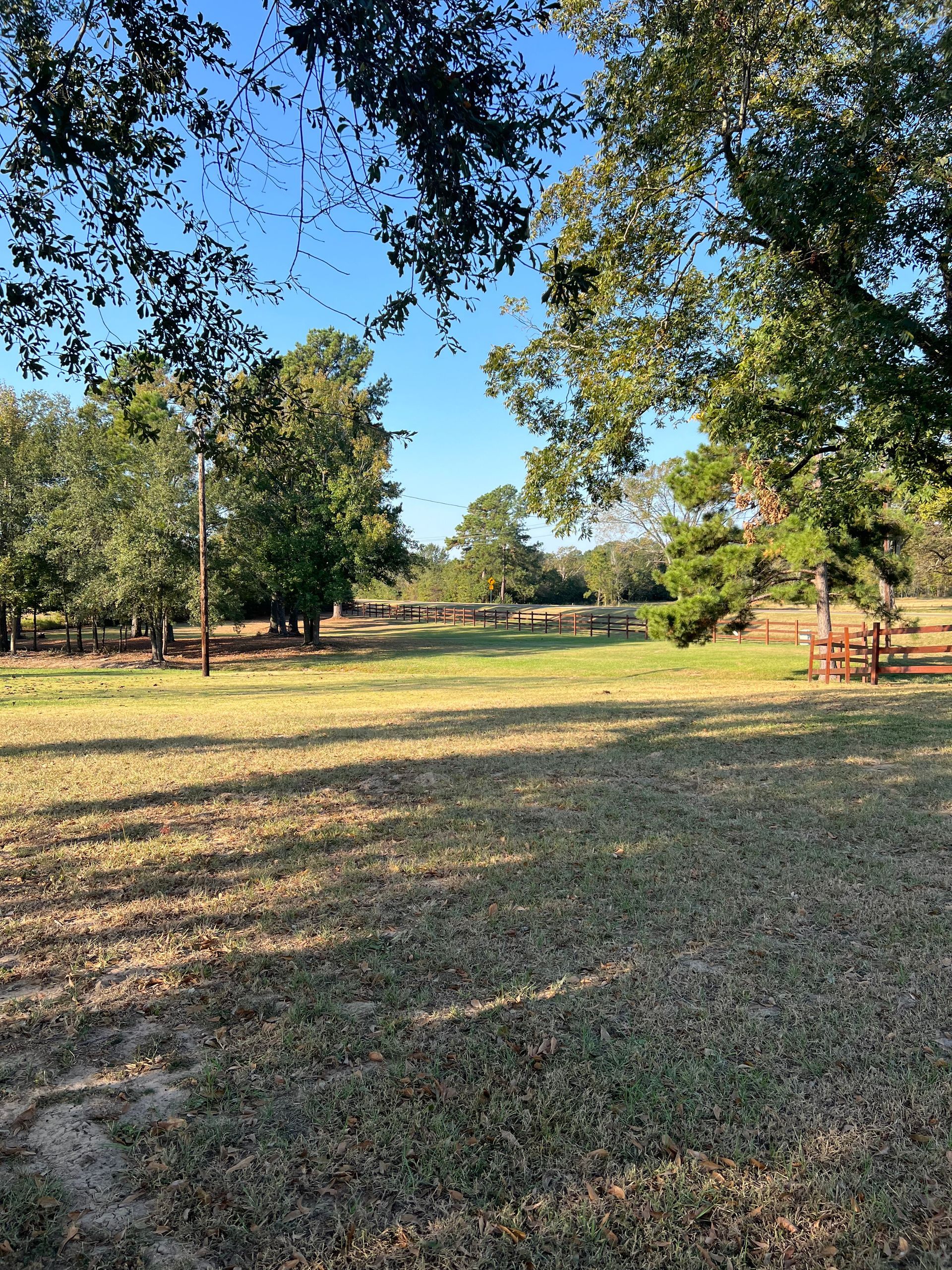 A large grassy field with trees and a fence in the background.