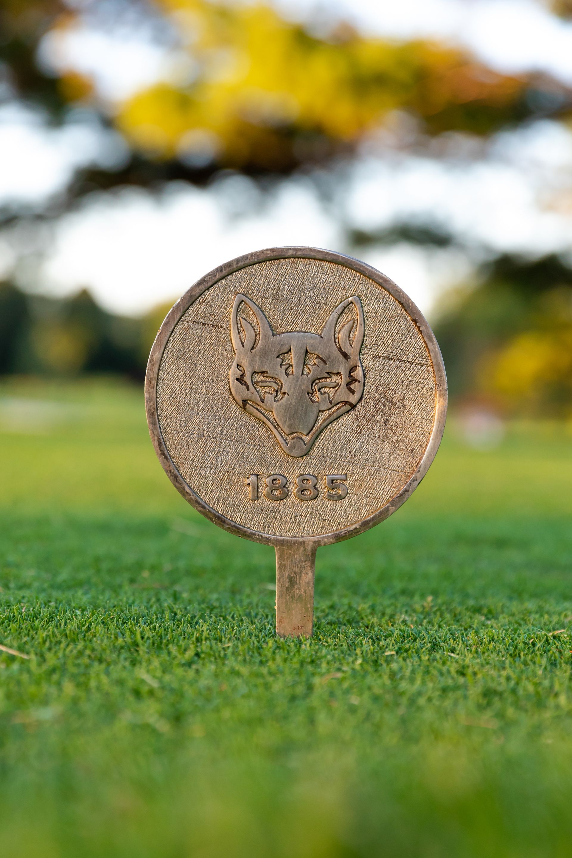 product photography services near me