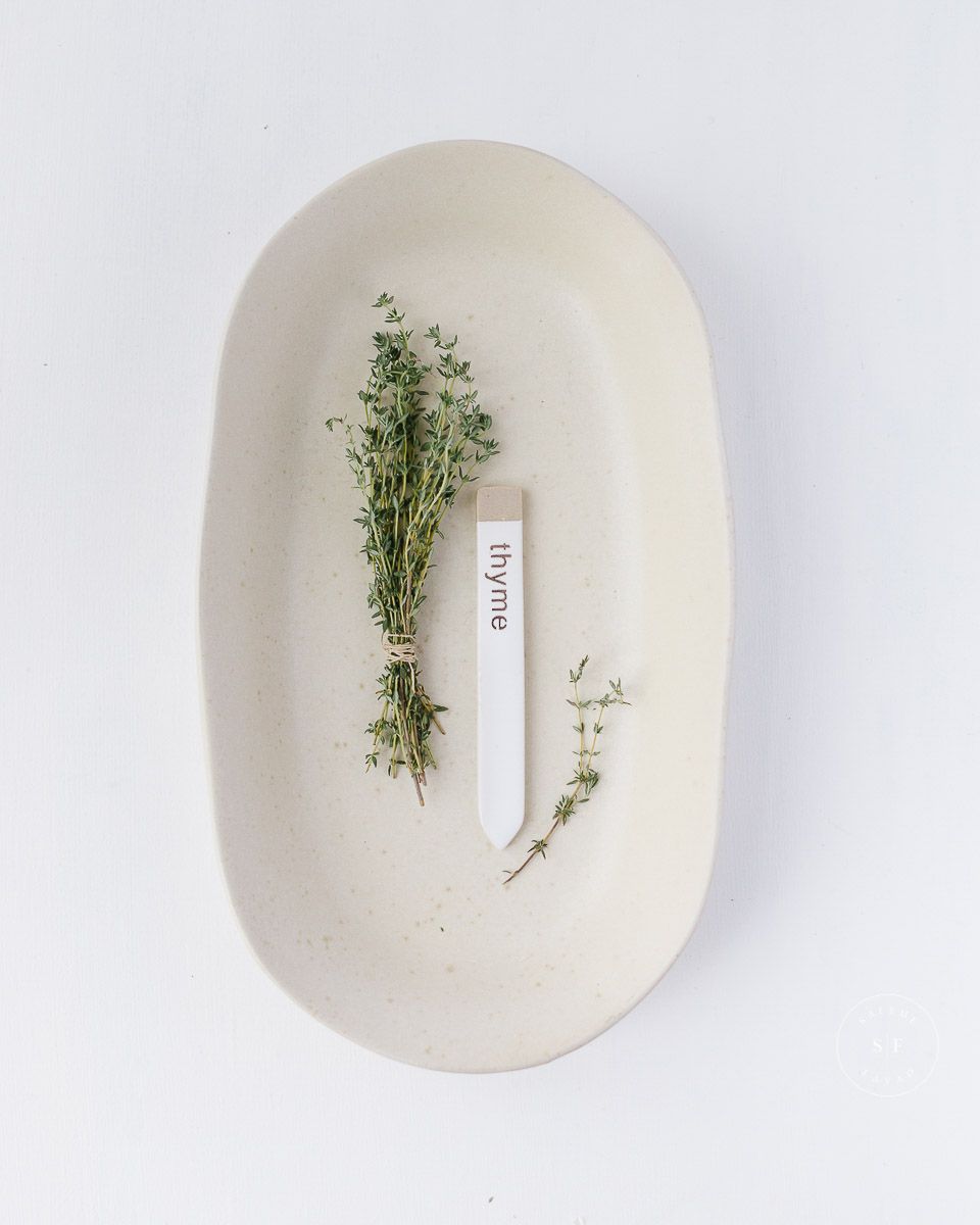 food photography portfolio