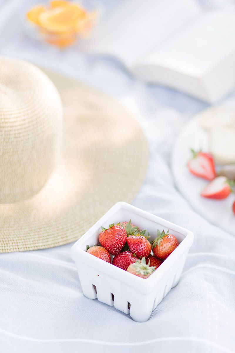 lifestyle photographer portfolios