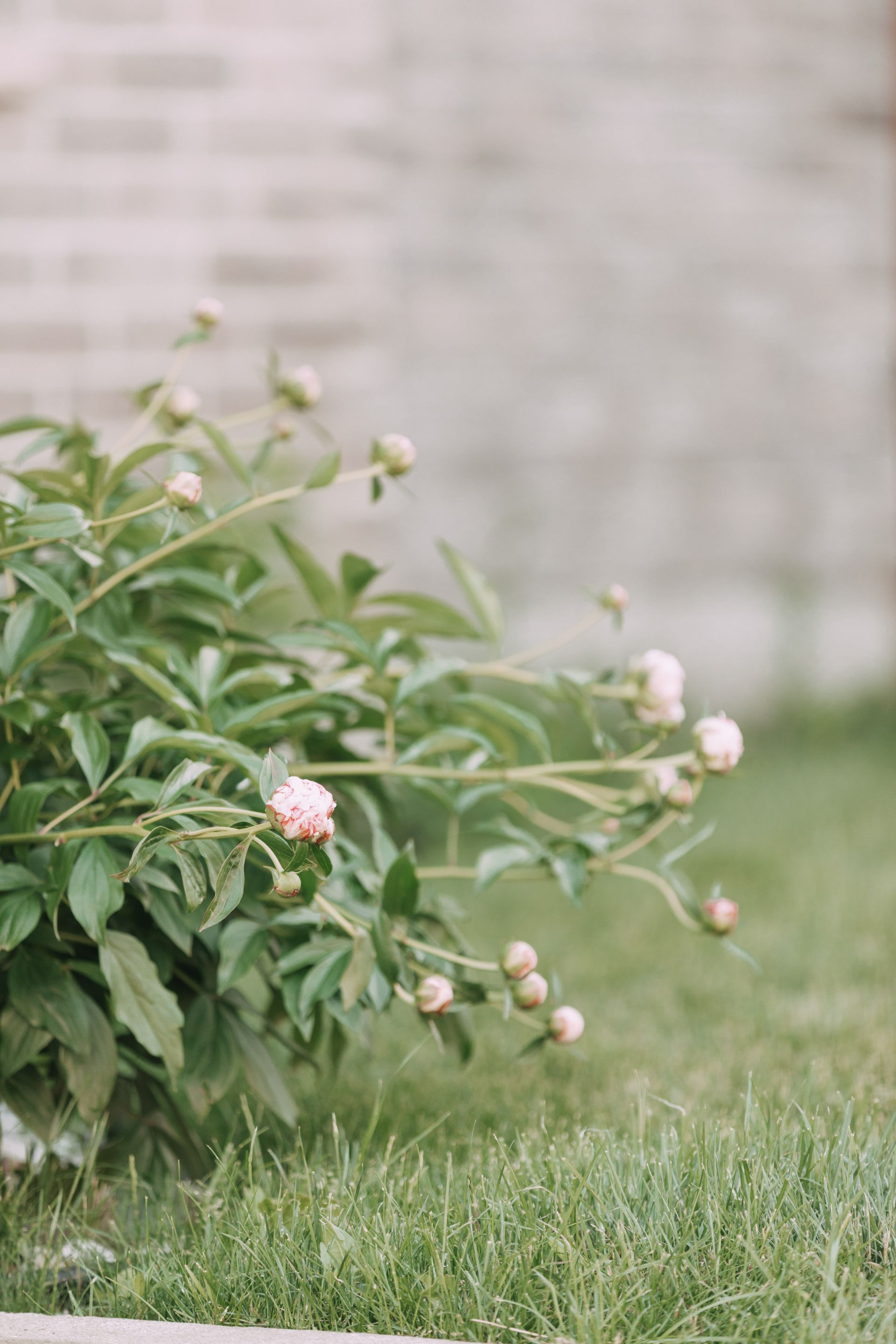 lifestyle photographer portfolio