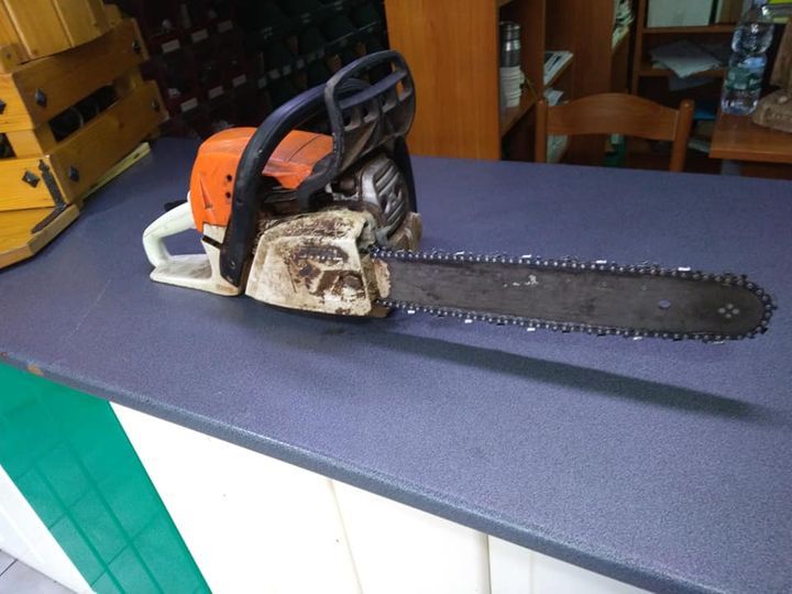 Sega per la potatura in affitto