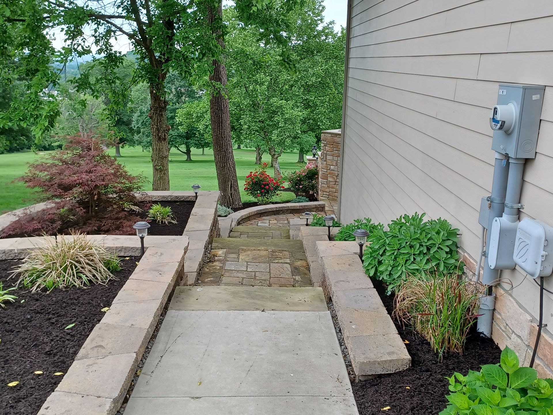 Stone steps leading down from a house, flanked by flowerbeds with shrubs and trees.
