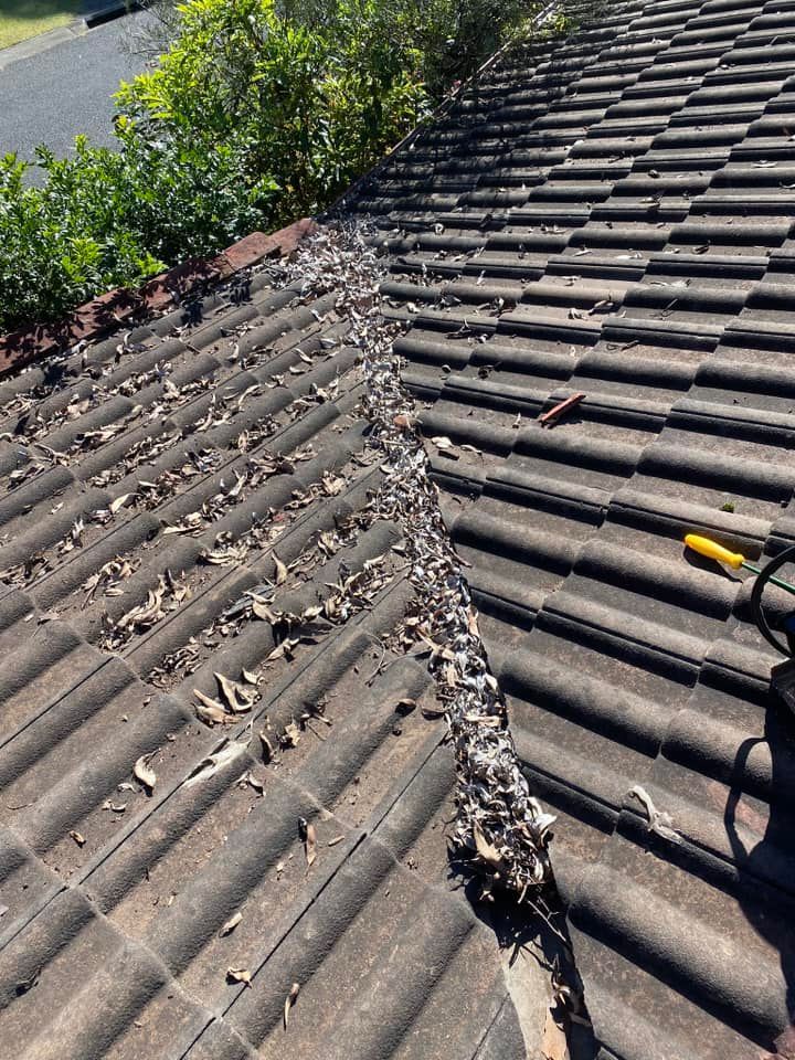 A Close Up Of A Roof With A Chain On It — Out On A Limb Tree and Garden Care In Broulee, NSW