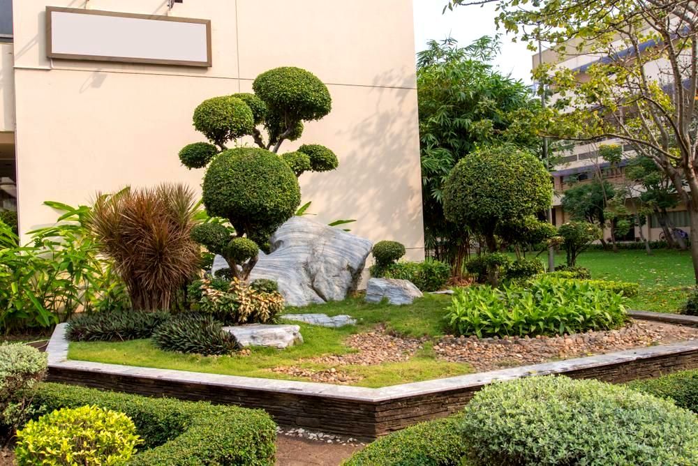 A Garden With Trees And Bushes In Front Of A Building — Out On A Limb Tree and Garden Care In Narooma, NSW