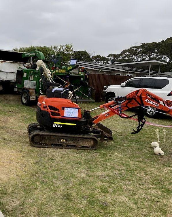 A Small Orange And Black Excavator Is Parked In A Grassy Field — Out On A Limb Tree and Garden Care In Tuross Head, NSW