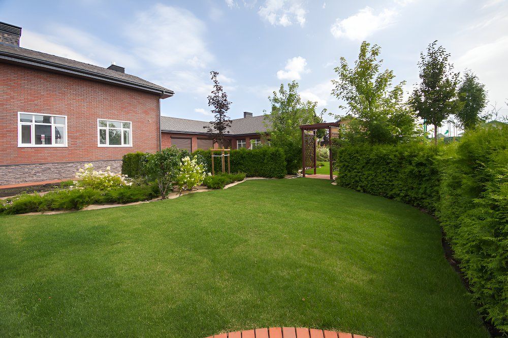 A Large Lush Green Lawn In Front Of A Brick House — Out On A Limb Tree and Garden Care In Tuross Head, NSW