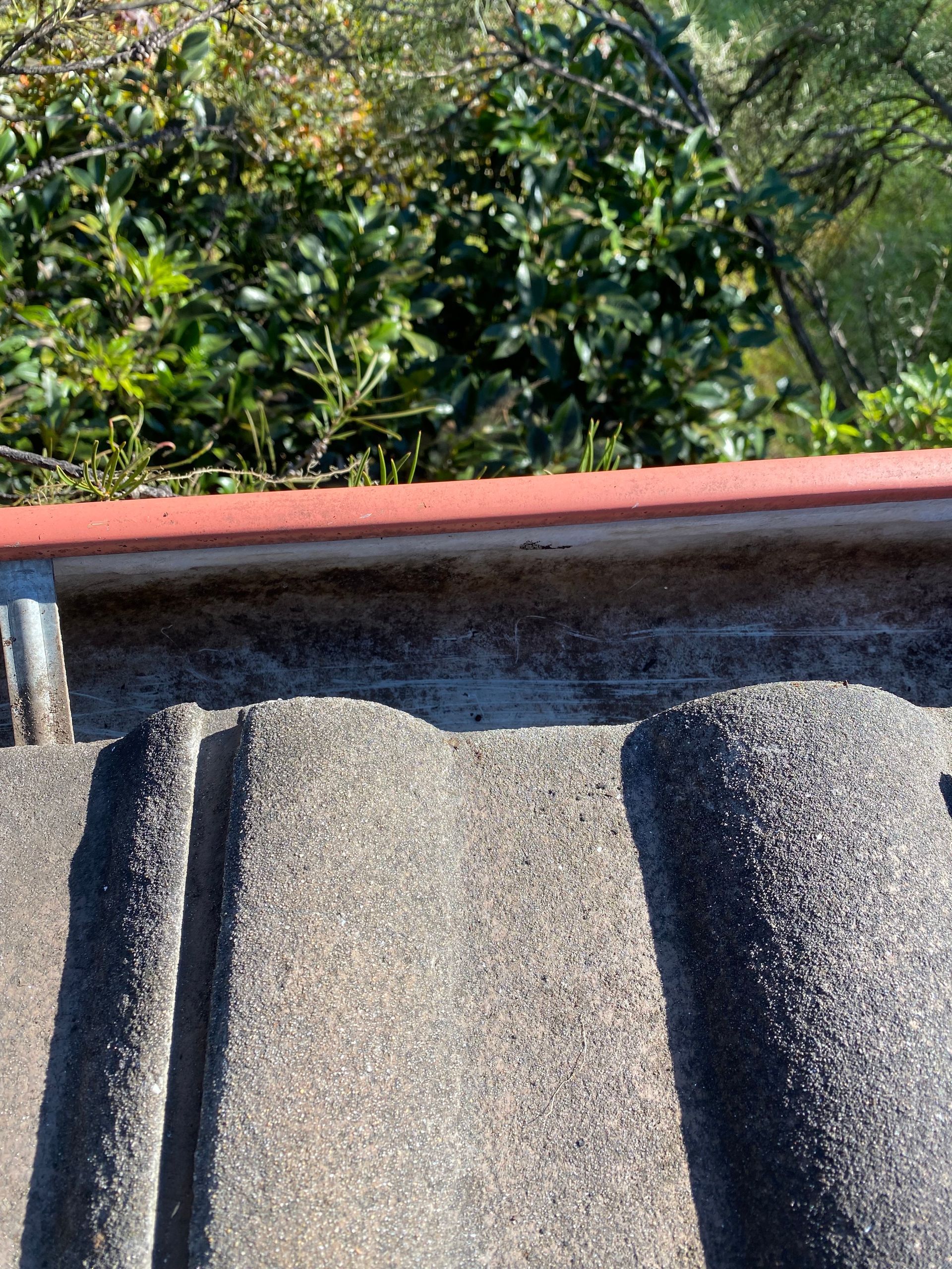 A Close Up Of A Tiled Roof With A Gutter On It — Out On A Limb Tree and Garden Care In Broulee, NSW