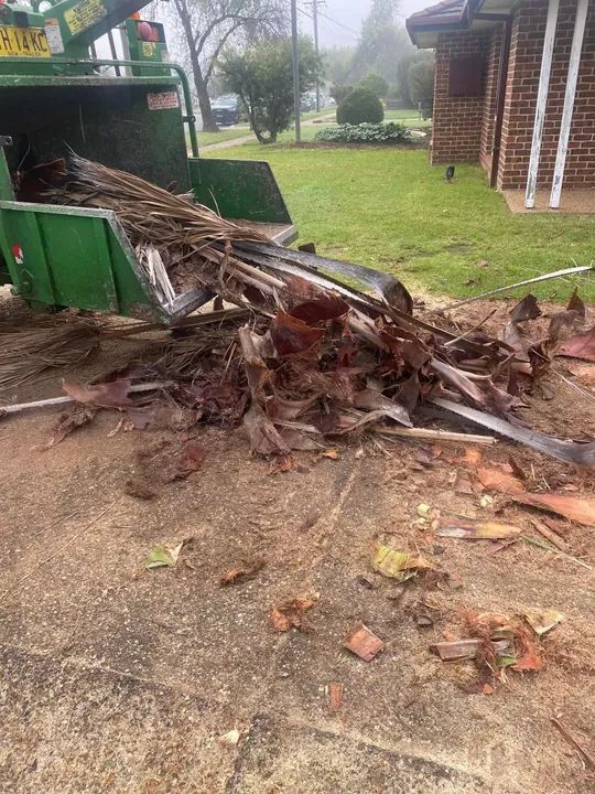 Garden Waste Is Being Removed In Front Of A House — Out On A Limb Tree and Garden Care In Broulee, NSW