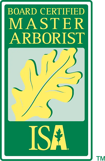 Board Certified Master Arborist logo: green frame, yellow oak leaf, green text 