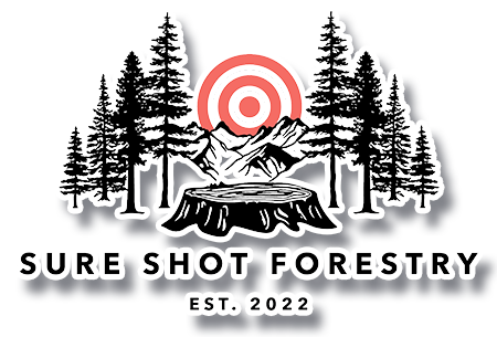 Logo for Rember's Auto Collision: White text over three colored rectangles: green, dark gray, and blue. Auto Collision below.