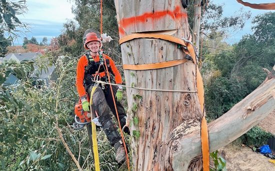 Arborist in orange shirt and helmet, high in a tree, using a chainsaw.