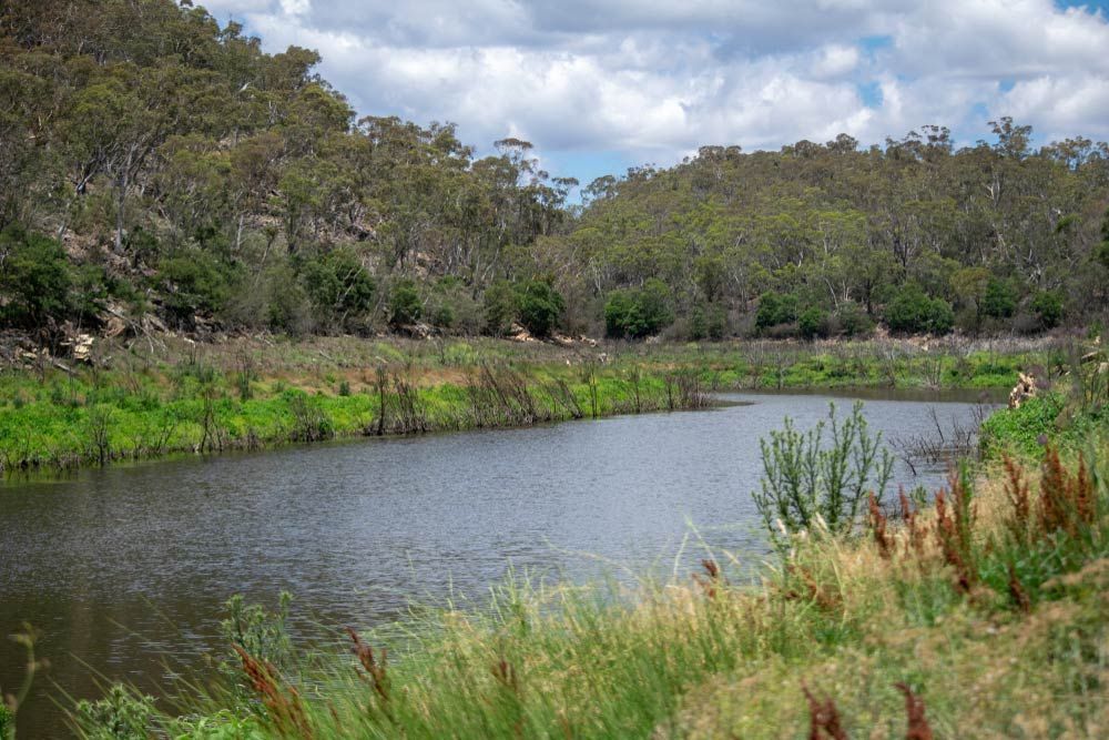 Googong Reservoir Surrounded by Trees and Bushland — ACT Roofing in Googong, NSW