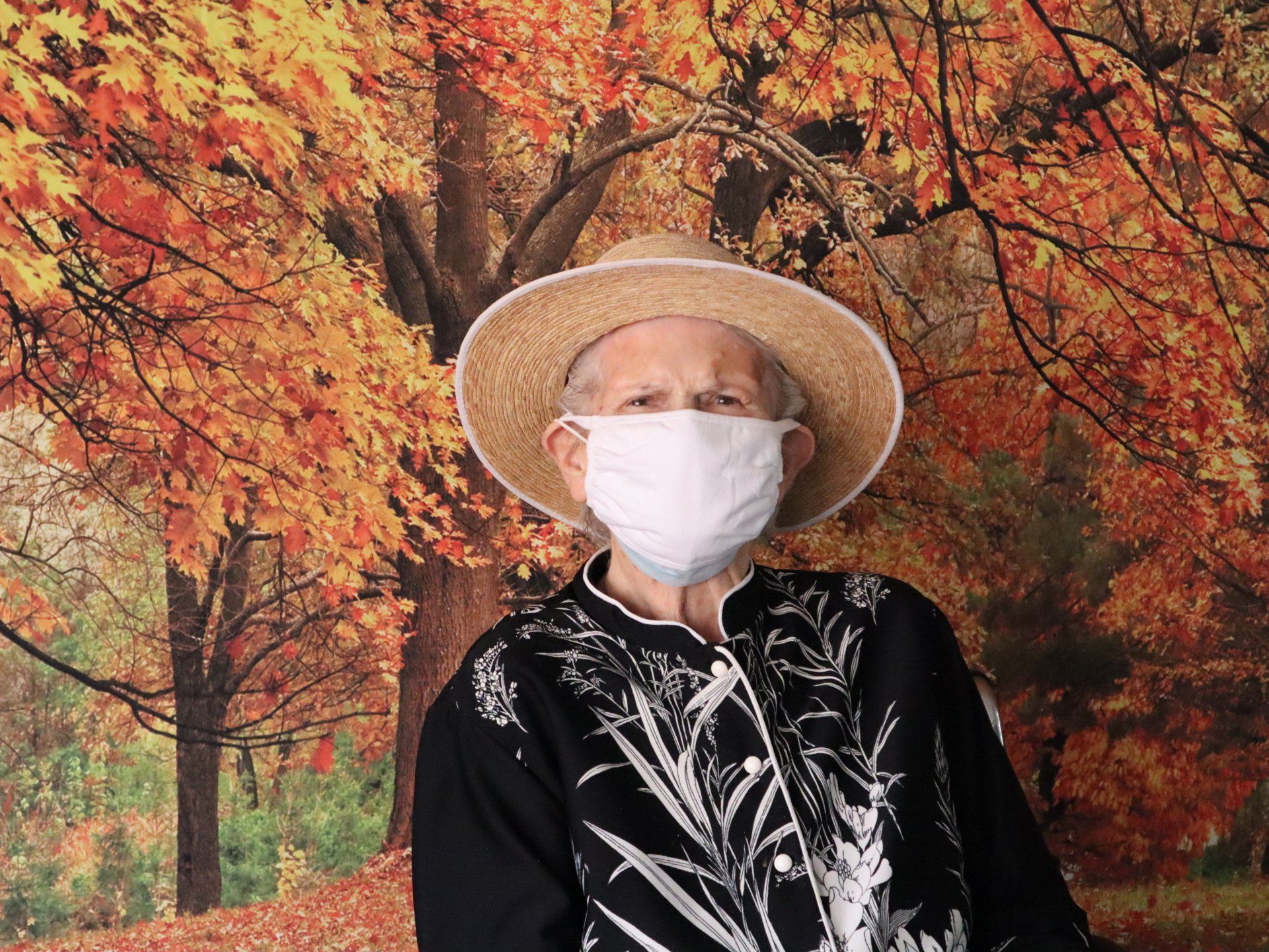 norwood crossing art show