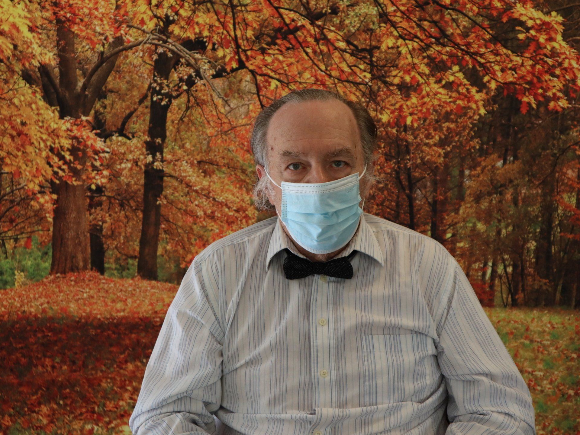 norwood crossing art show