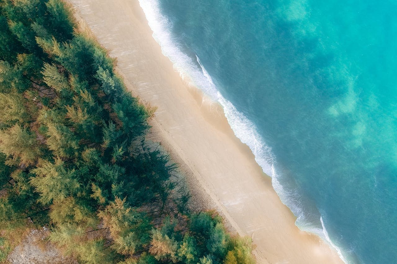 Green trees, sandy beach, and turquoise water meet at the coast — Inner Peace Counselling Services in Kanwal, NSW