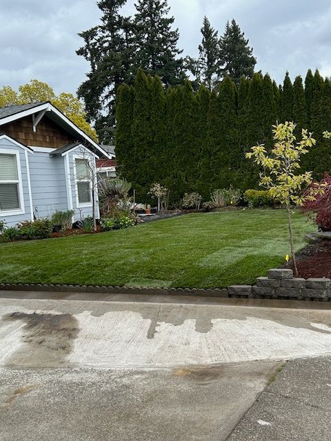 A house with a lush green lawn in front of it
