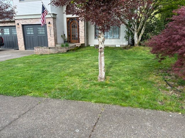 A house with a lush green lawn and a tree in front of it.