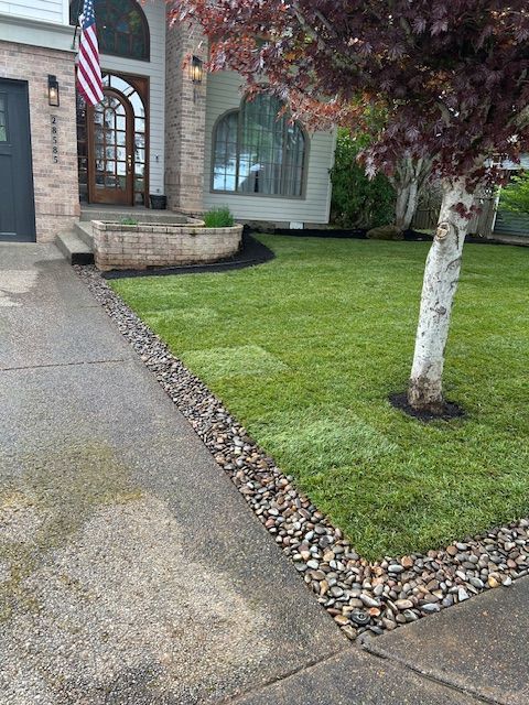 A house with a large lawn and a tree in front of it.