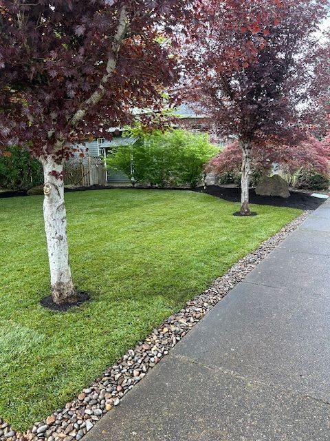 A lush green lawn with trees and a sidewalk in front of a house.