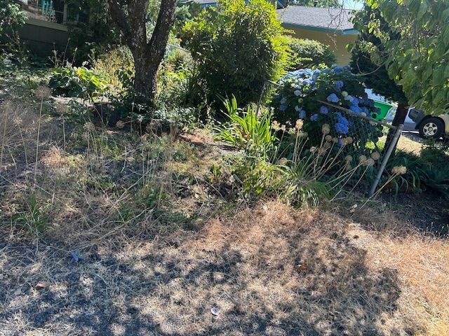 A car is parked in the driveway of a house next to a tree.